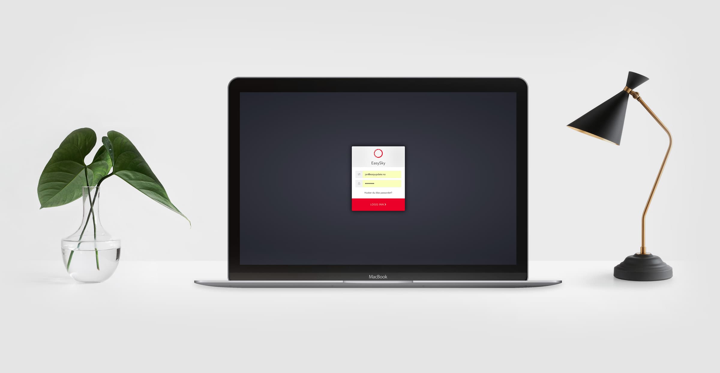 Regnskapsfører innlogging til skyløsning